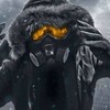 EliFrost's avatar