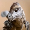 Elitroraptor132's avatar