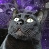 Elizabet97's avatar
