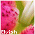 ElvishPhotography's avatar