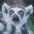 emblemparade's avatar