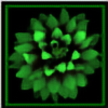 Emerald-Dahlia's avatar