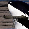 Emperorpenguin201's avatar