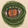 EnchantedDragon563's avatar