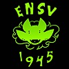 ENSV1945's avatar