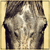 ephemeral-artifacts's avatar