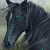 equestrian43's avatar