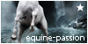 Equine-Passion's avatar