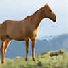 equineic's avatar