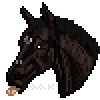 equusamo's avatar