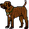 EquusEquidae's avatar