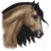 equusji's avatar