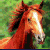 equusoul's avatar