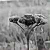 erictoews's avatar