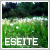 eseite's avatar
