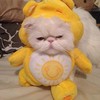 esraasaied337's avatar