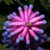 estherb's avatar