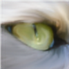 EumyCookie's avatar