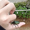EusuffWaldan's avatar