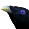 EvansEditions's avatar
