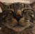 evell505's avatar