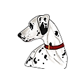 EverestEstate's avatar