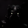 EvilFerence538's avatar