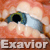 exavior's avatar