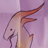 Extreme-Bunny's avatar