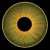 eye-hate's avatar