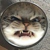 eyeballsinajar's avatar