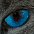 EyeMax's avatar