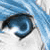 Eystra's avatar