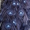 faeindisguise's avatar