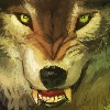 faethryder's avatar