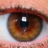 faietdohrnii's avatar