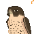 falcon5001's avatar