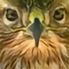 Falconeer11's avatar