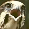 falconplz's avatar
