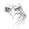 FalcoPeregrinus100's avatar