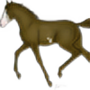 fallenhorse's avatar