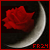 fallenrose24's avatar