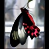 farfallascura13's avatar
