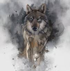 fastwolf90's avatar