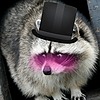 FazbearTrashPanda's avatar