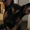 FDShighland's avatar