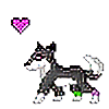 Feather-wolf's avatar