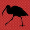 FeatheredIbis's avatar