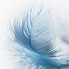 FeatherQuilt1988's avatar