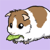 Feathersazureandgold's avatar